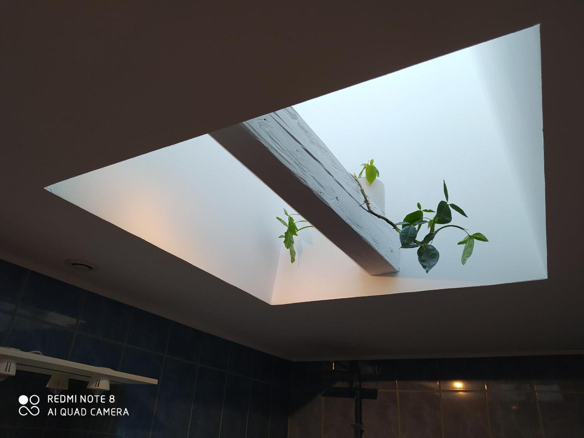 Gite Calme 4 Chambres, Terrasse Privative, Draps Inclus - Germonville - Fr-1-584-167 Экстерьер фото